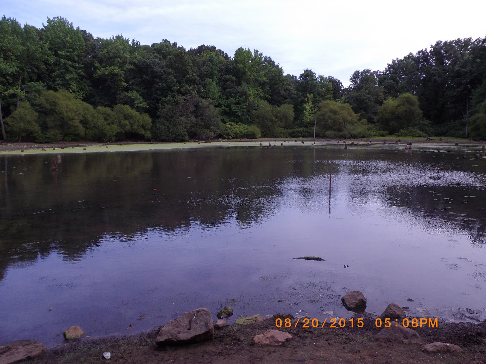 The Great Lakes of NYC Kettle Ponds fishing