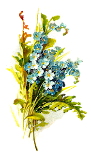 digital Forget-Me-Not download flower digital download botanical art