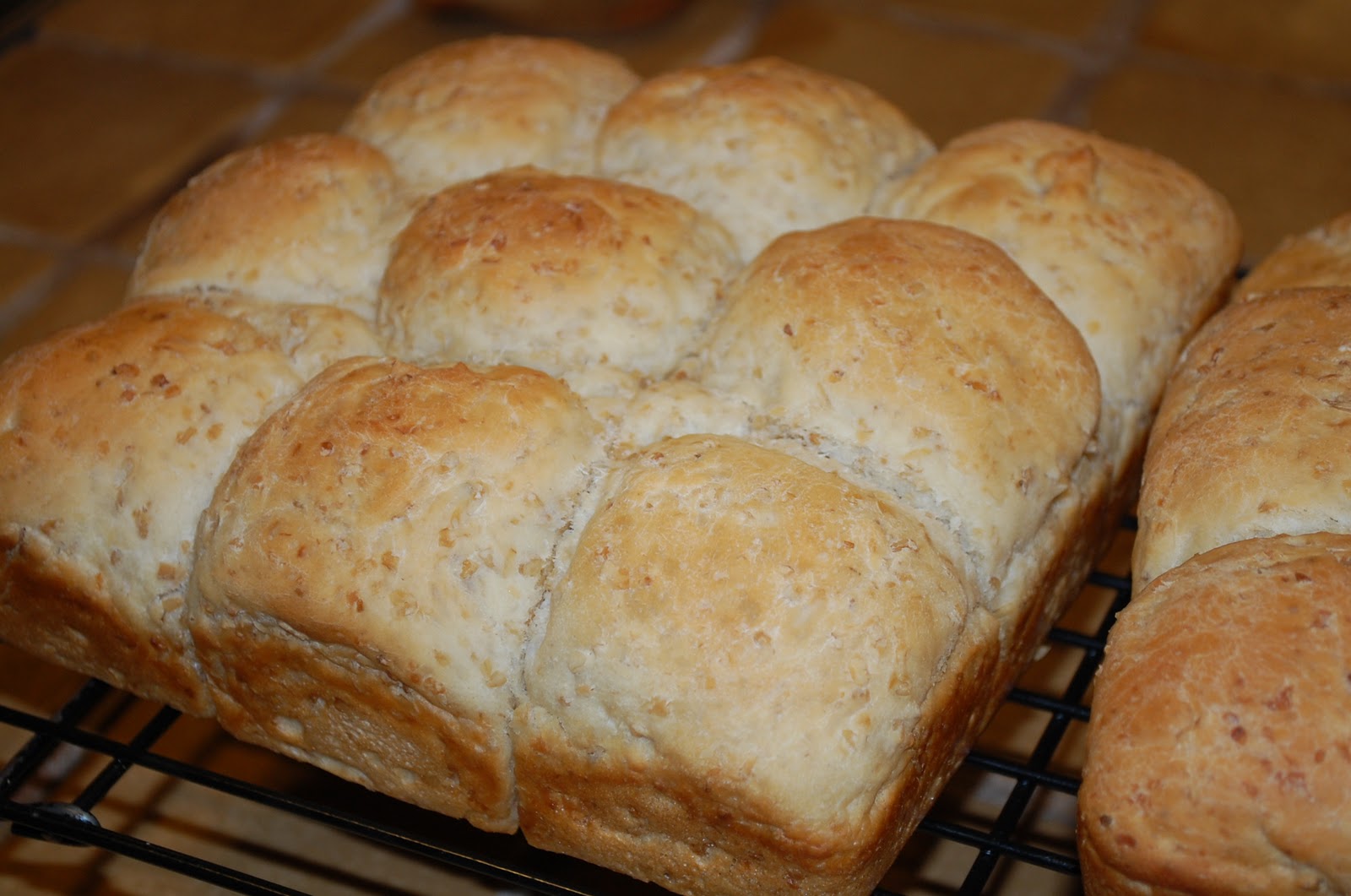 Eating From The Homestead Oatmeal Rolls
