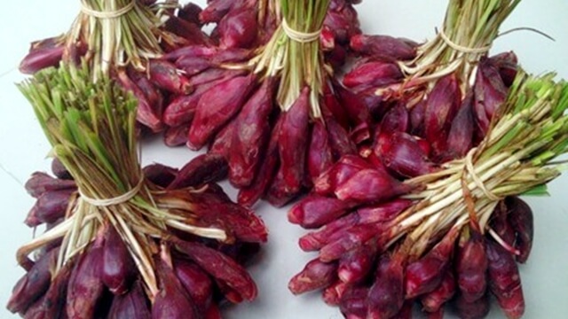 bawang dayak rahasia suku dayak hidup sehat sampai tua bawang dayak rahasia suku dayak hidup sehat sampai tua