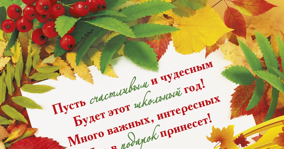 Торги, поздравление картинки педагога педагогам с началом учебного года