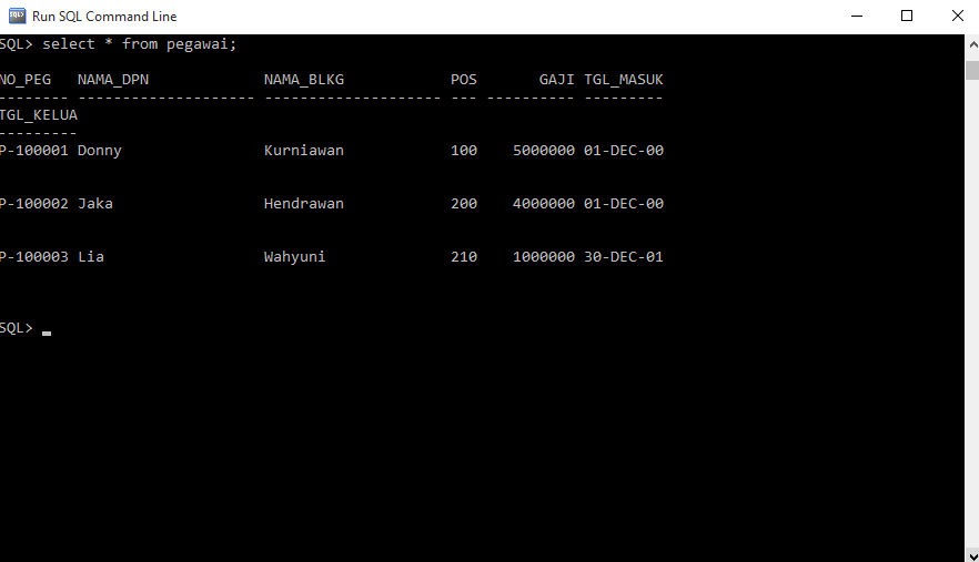 Pengenalan Oracle Database Penggunaan Sintak Dasar - Zoro Tekno