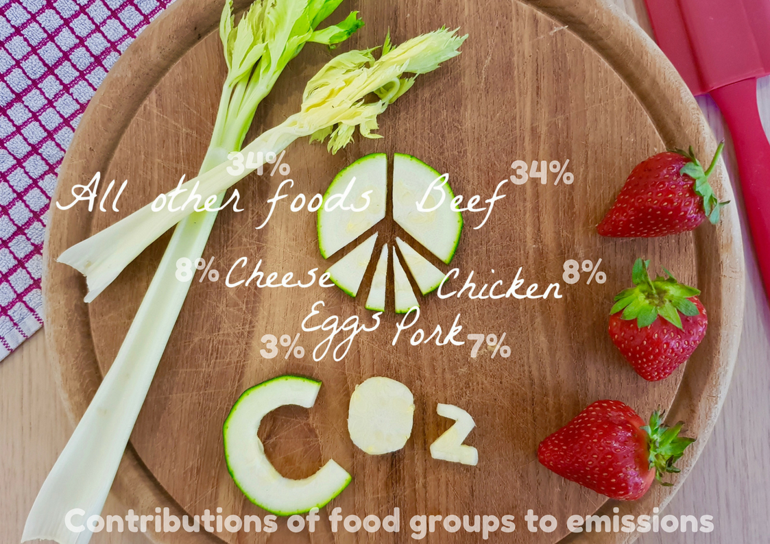 why choose vegan vegetarian meat-free plant-based diet environment