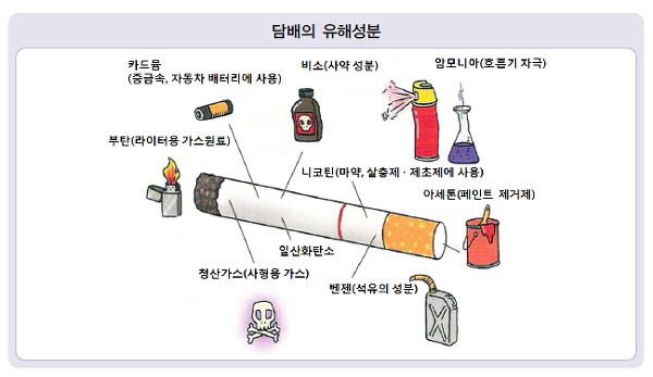 담배의 해로운 영향은 폐암의 원인 - 섹스, 사랑, 가족, 가족, 육아에 대한 지식
