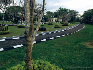 Plants And Trees Of The Park In The Middle Of The City Area At Badung, Bali, Indonesia