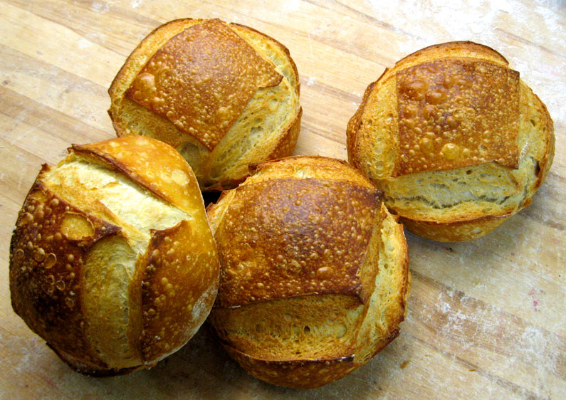 Evanston Newbie Food News Moe the sourdough starter turns 11