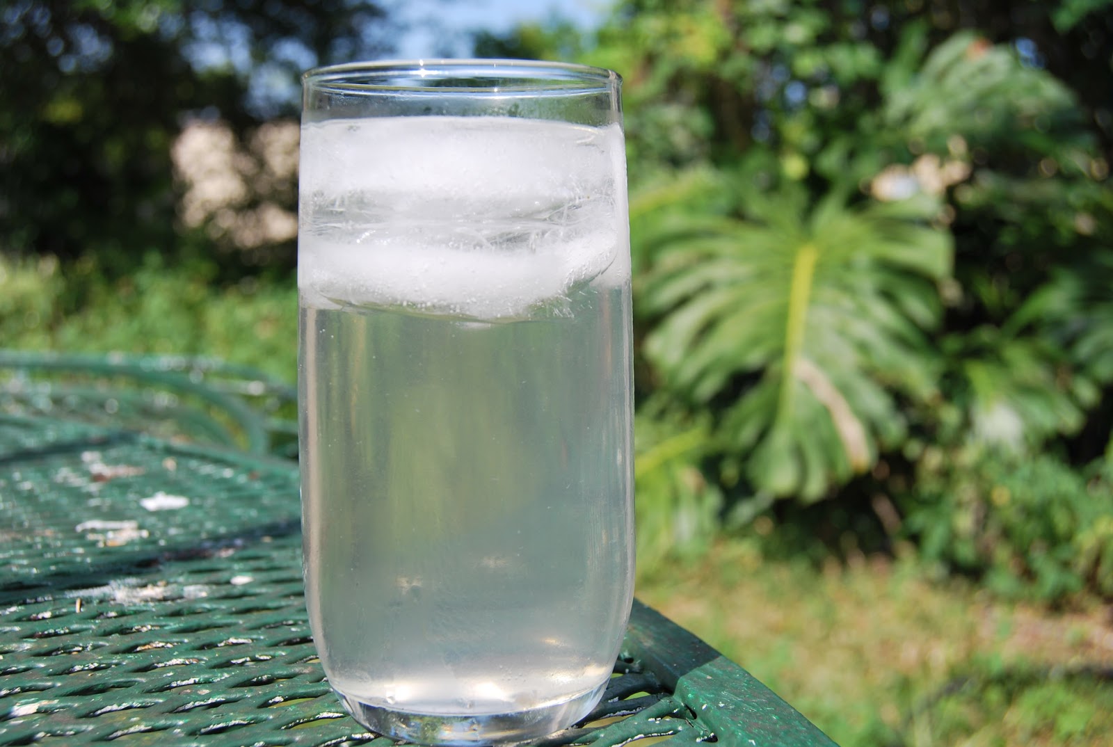 Helen A. Lockey Green Coconut Water South Florida Style