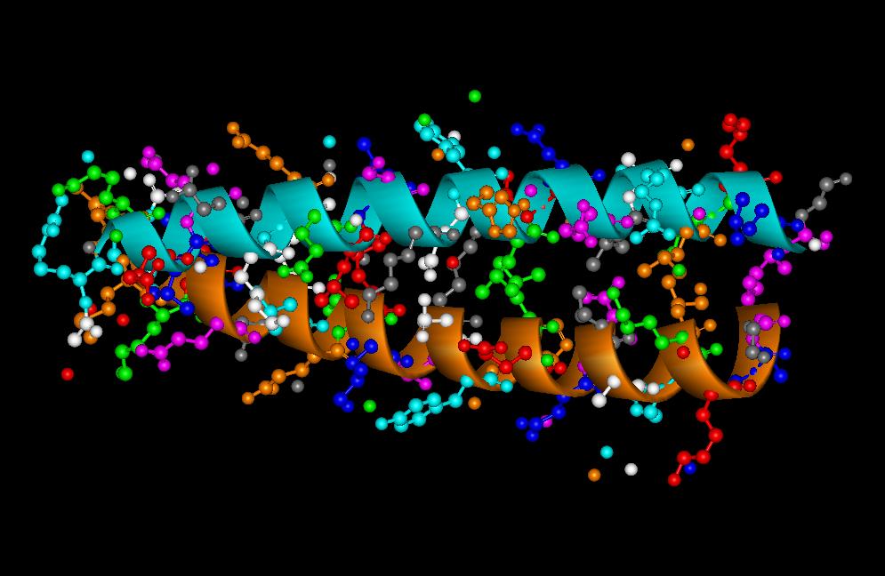 Resultado de imagen de Ã¡cido nucleico y otros ingredientes de la vida