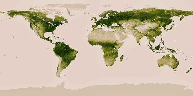 40 Maps That Will Help You Make Sense of the World - World Map of Vegetation on Earth
