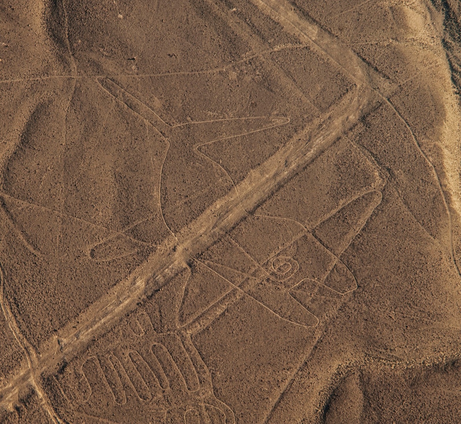All 92+ Images nazca lines in peru pictures Superb