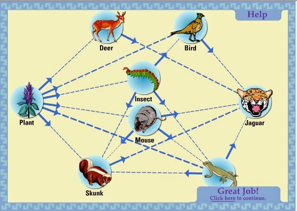 Teaching the Kid: Food Web Online Activity