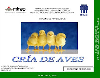 Cria de aves | INCES - MINEP cria-de-aves