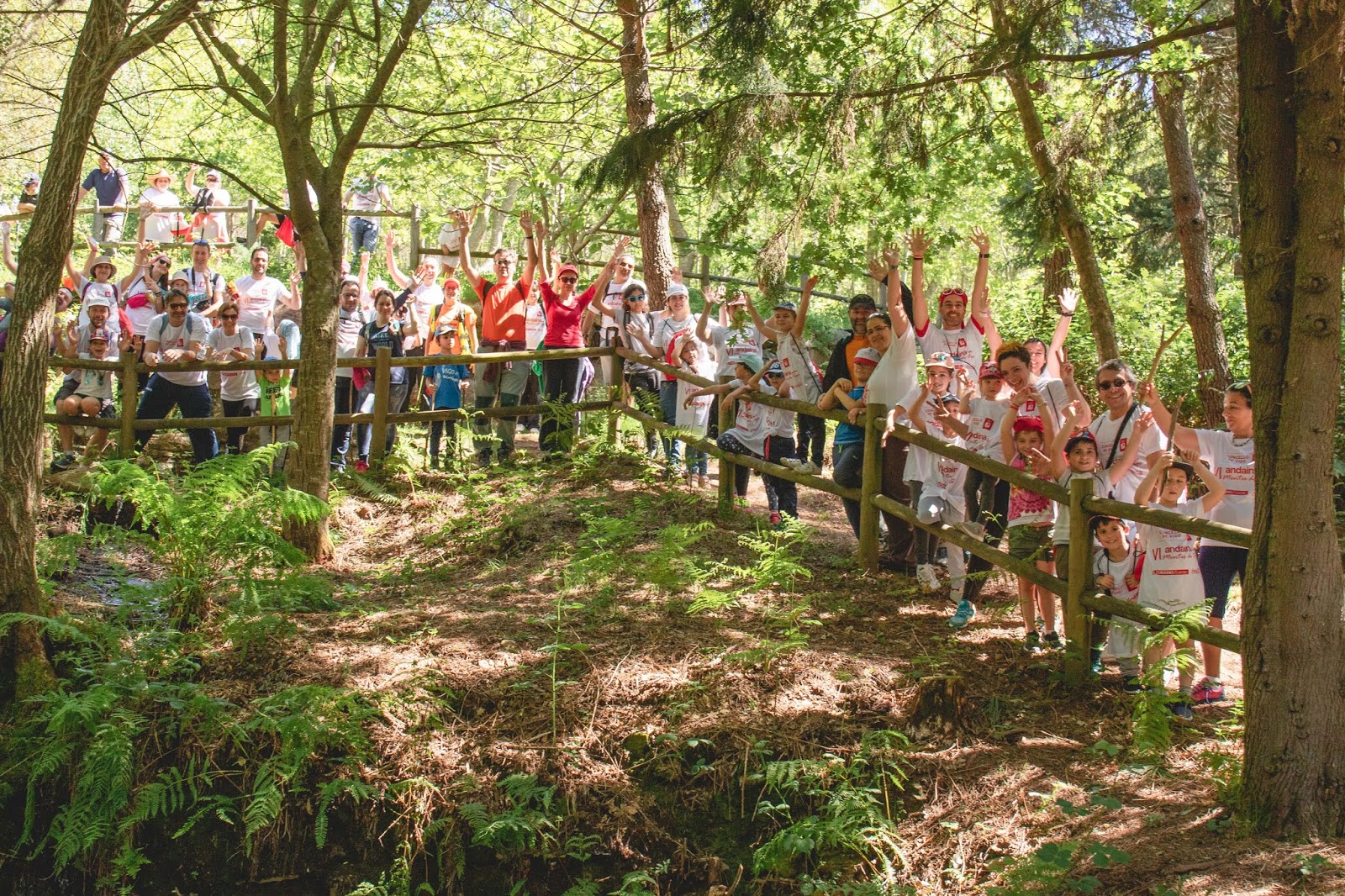 POLOS MONTES DE VIGO: A EXPERIENCIA DO MONTE | Montes Vigo