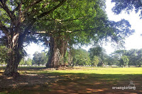 istana bogor