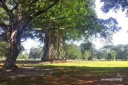 istana bogor
