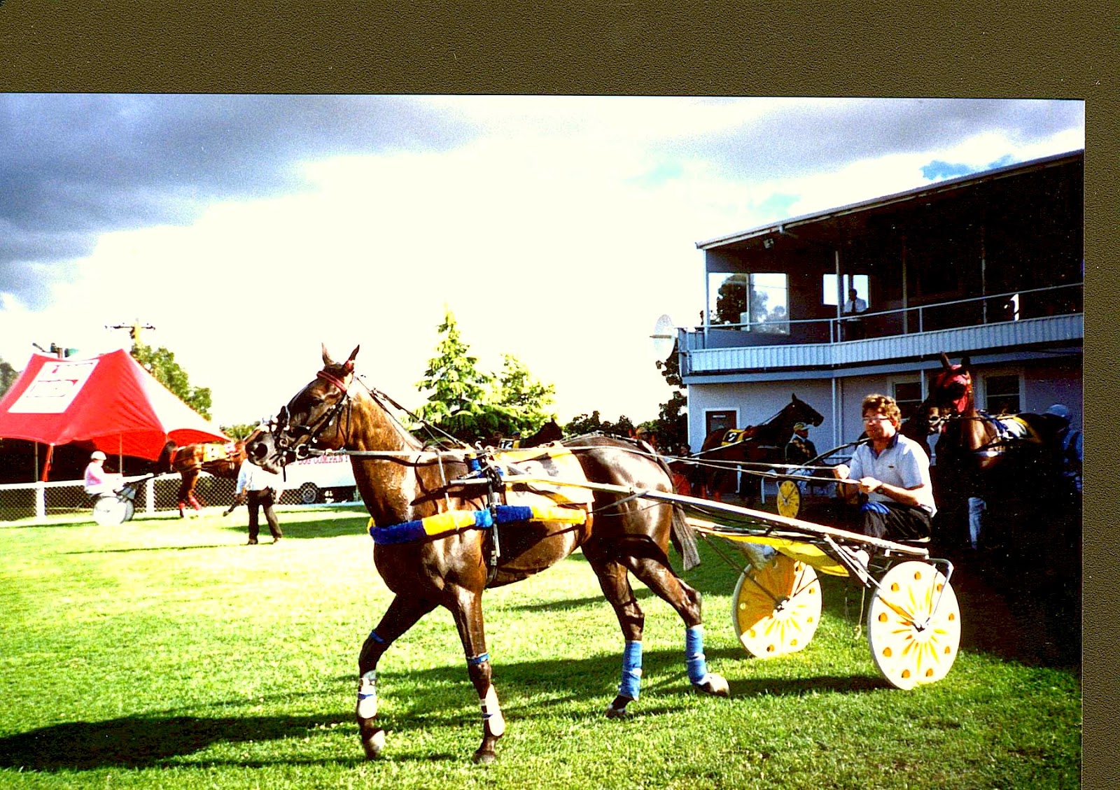 Kurt of Gerolstein Harness Racing in
