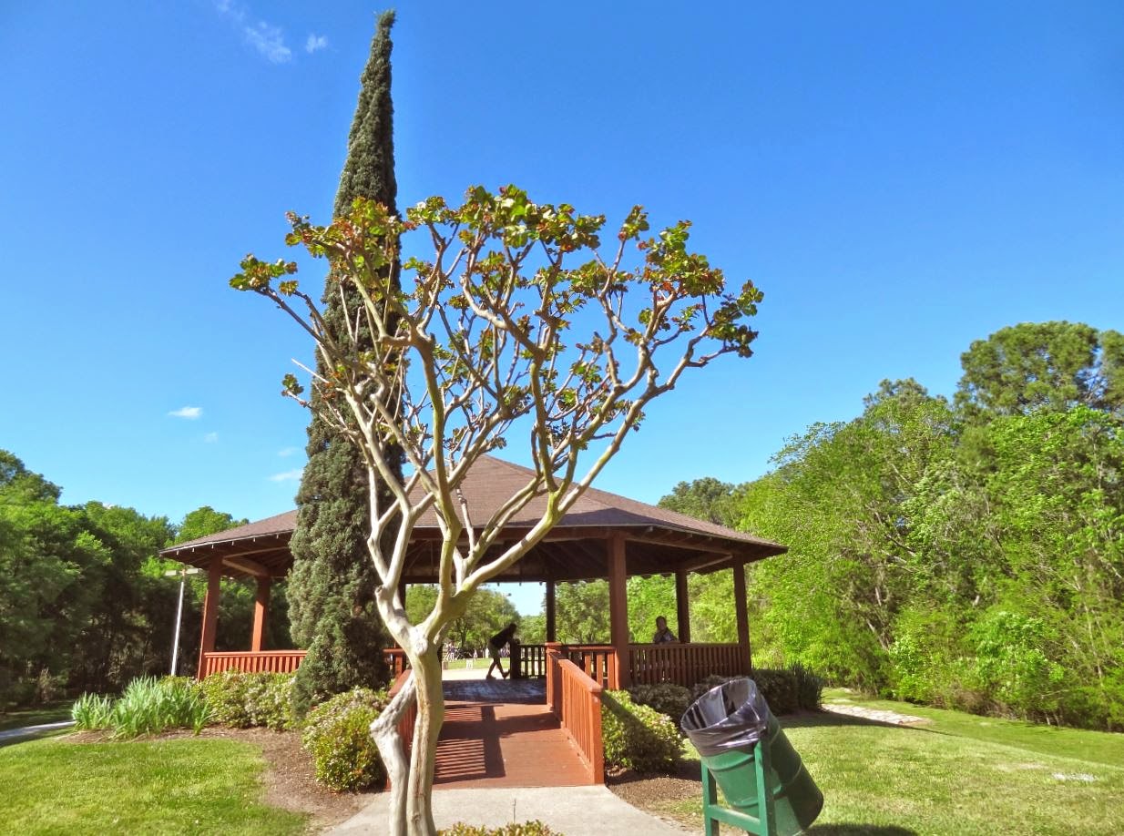 HTownWest Photo Blog Terry Hershey Park in the Spring