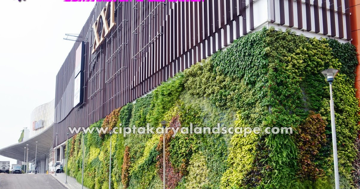 TAMAN VERTIKAL / VERTICAL GARDEN - Jasa Tukang Taman ...