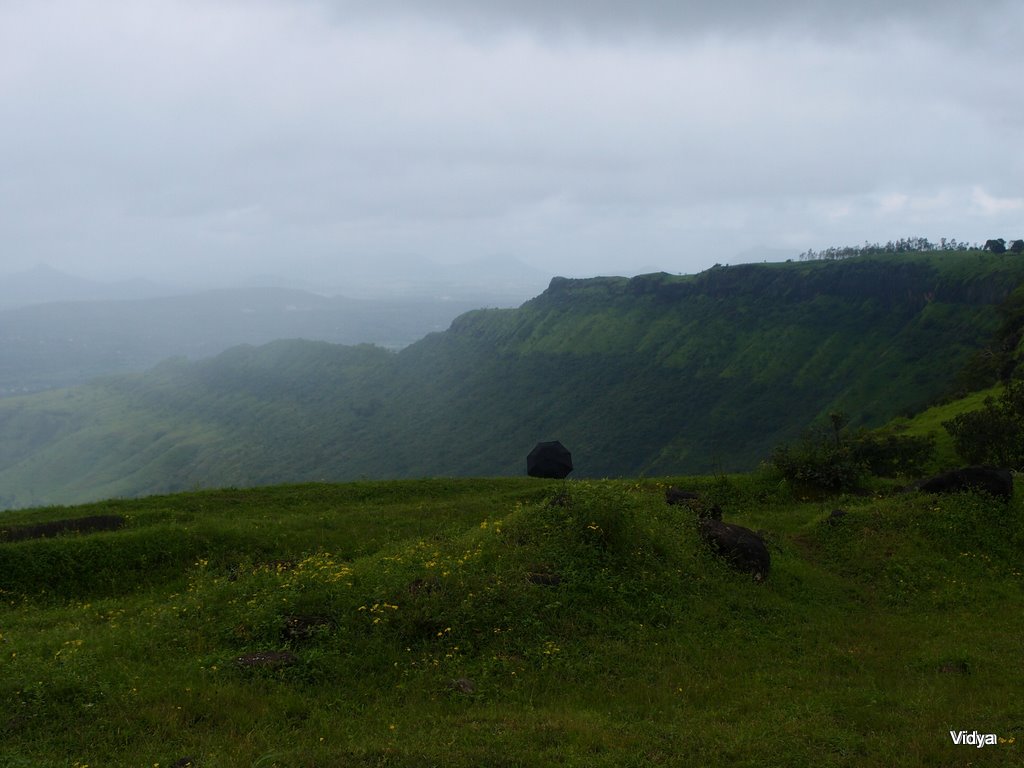 Travel Notes.. Kas Valley Satara Valley of flowers