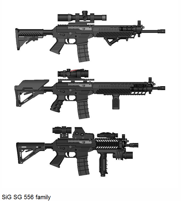 SIG SG-550, SG-551, SG-552 And SG-556 SWAT Assault Rifle.