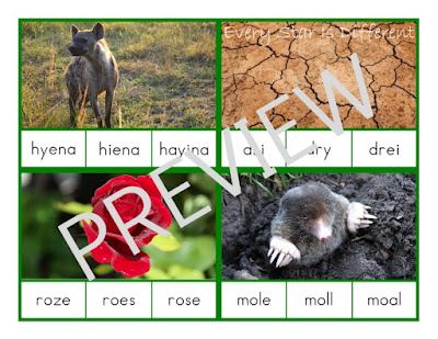 Montessori-inspired Advanced Language Hard Word Identification Clip Cards