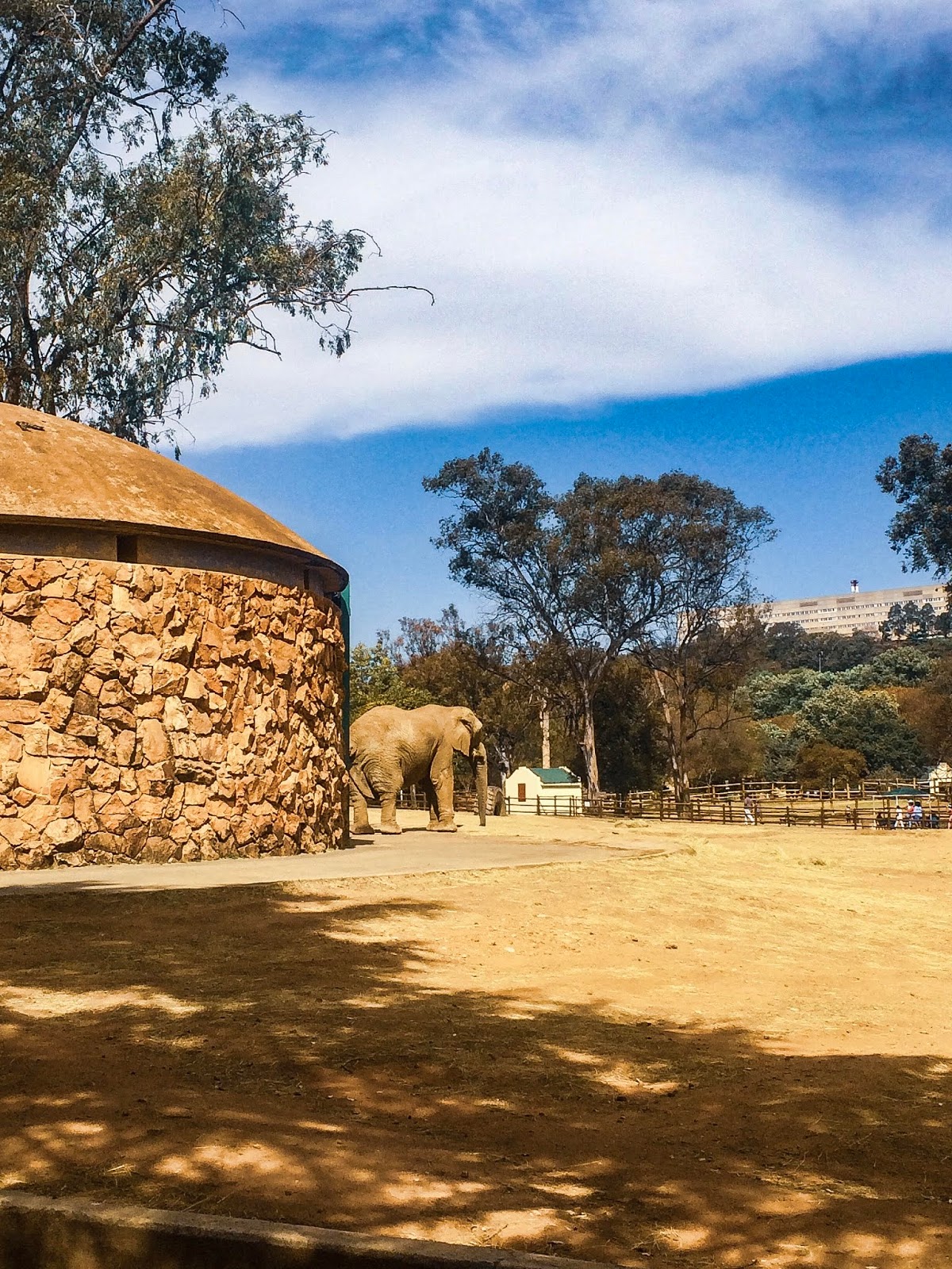 Activities to do in Johannesburg Visit The Johannesburg Zoo beinglizzie