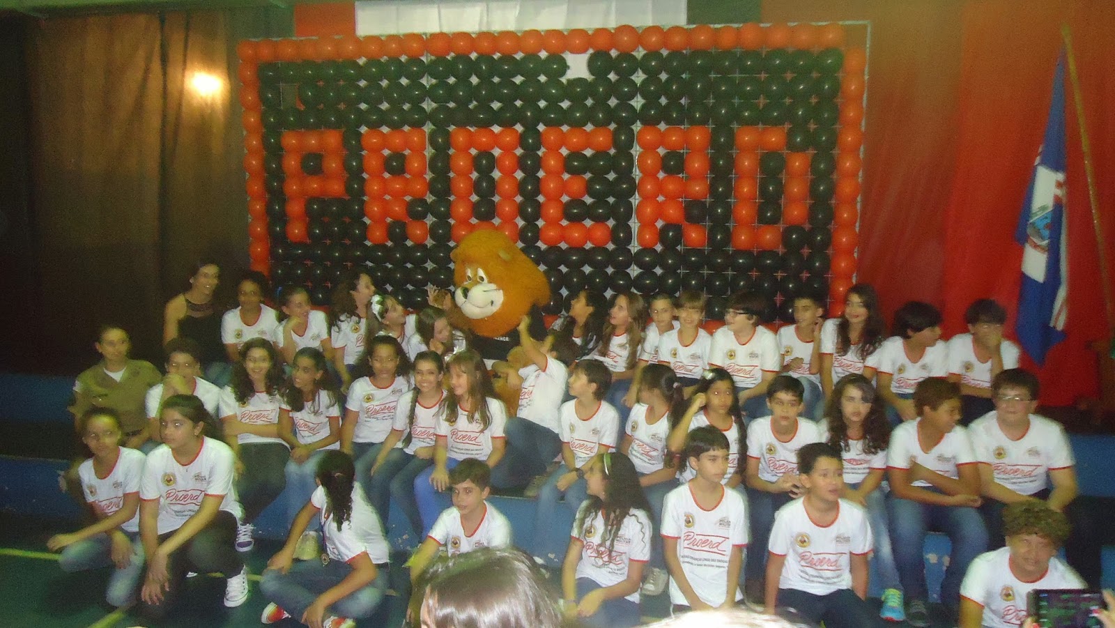 Escola Estadual Professor Modesto