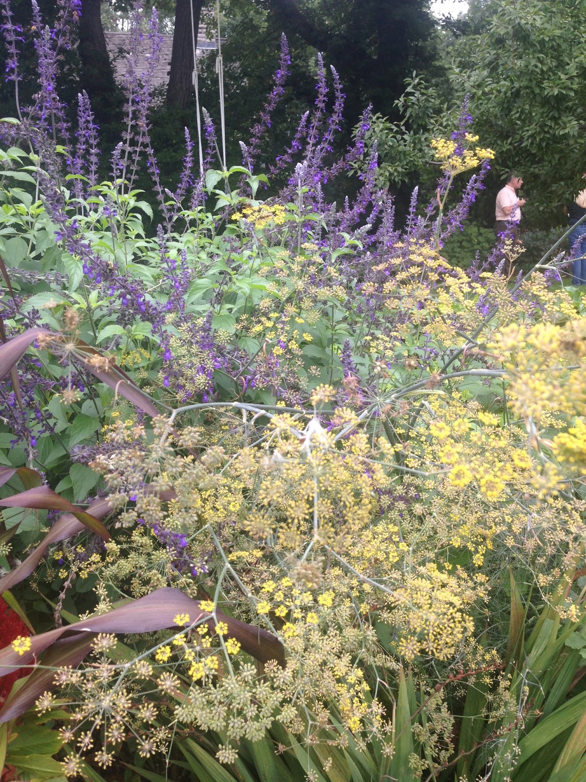 In a Garden The Gardens at Clock Barn Part 2