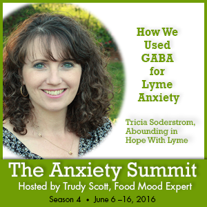 Anxiety Summit Using GABA for Lyme Anxiety