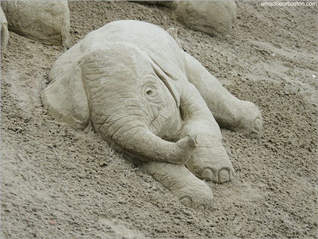 Esculturas de Arena de Revere Beach: "Save the Elephants" de Paul Hoggard Esculturas de Arena de Revere Beach: "Save the Elephants" de Paul Hoggard