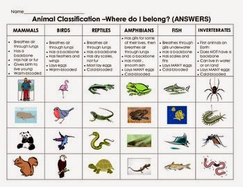 Animals unit 7. Animal characteristics. Mammals Reptiles Birds insects. Reptiles Amphibians Vocabulary. Animals classification Worksheets.