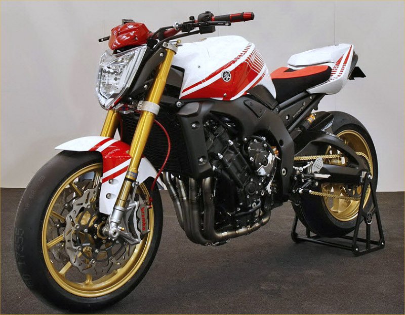 yamaha fz custom