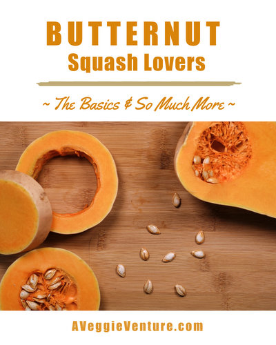 All About Butternut Squash & Other Winter Squash ♥ A Veggie Venture, recipes, techniques, tips, nutrition and more
