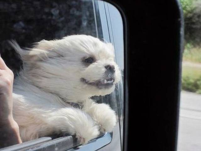 Picdump+Ritemail+-040.jpg