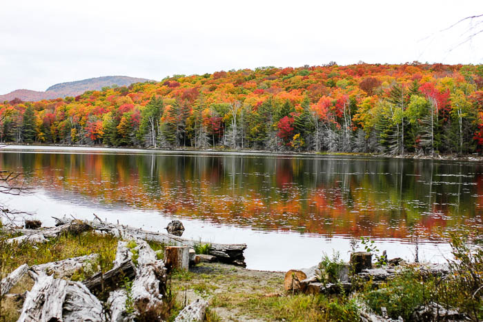 Leaf Peeping in Vermont & the Adirondacks | Golden Boys & Me