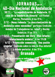 Jornadas por el 4D-Día Nacional de Andalucía
