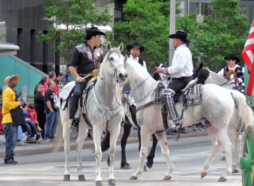 Houston in Pics 2013 Houston Rodeo Kickoff Parade (photos)