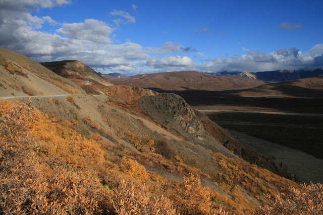 DENALI NATIONAL PARK(II) - LA ULTIMA FRONTERA. CRONICAS DE ALASKA (2)