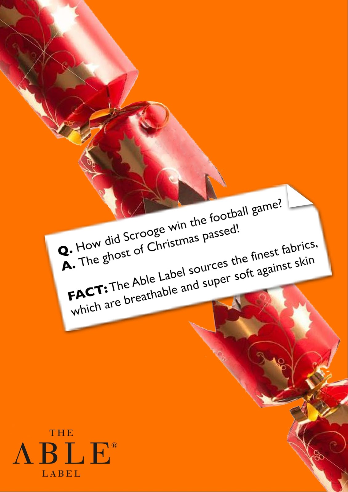 The Able Label YOU CRACKER ME UP  12 JOKES & FACTS OF CHRISTMAS