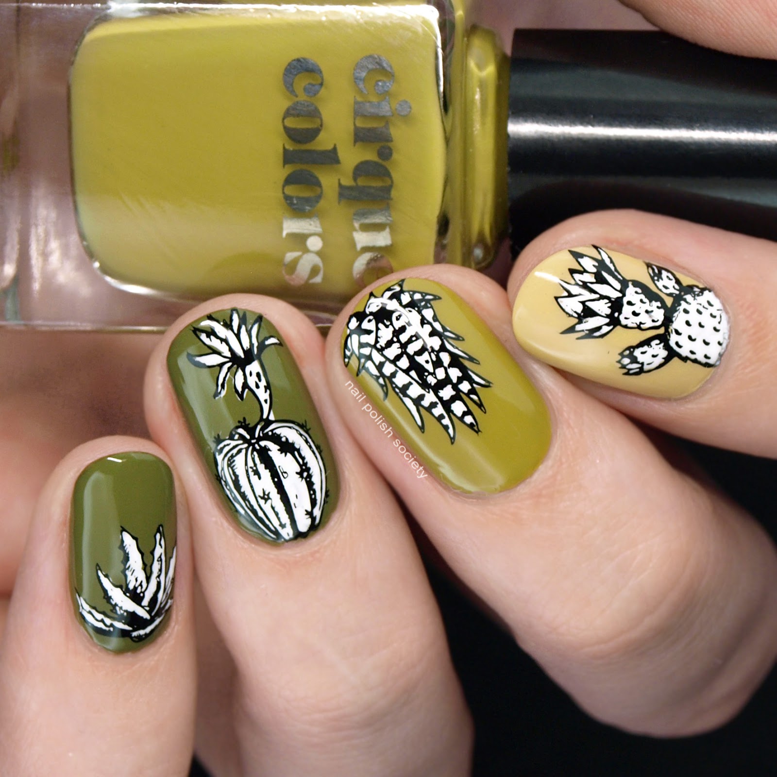 Nail Polish Society Cirque Colors The Metropolis Spring/Summer 2019