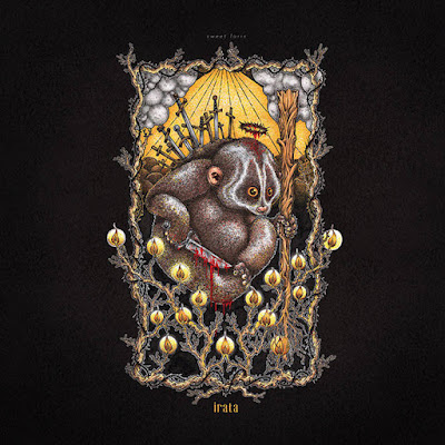 Irata - Sweet Loris