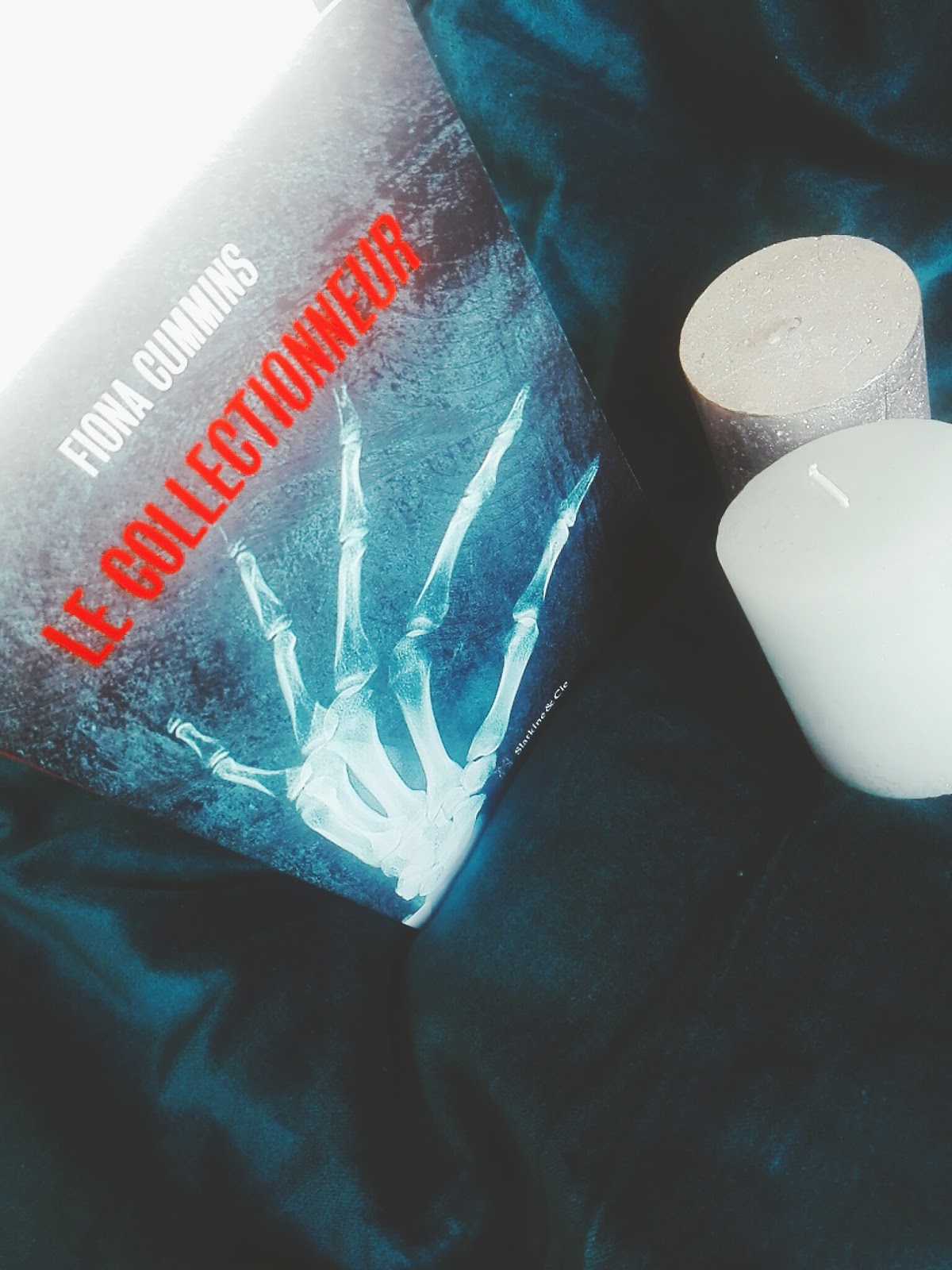 Le collectionneur de Fiona Cummins