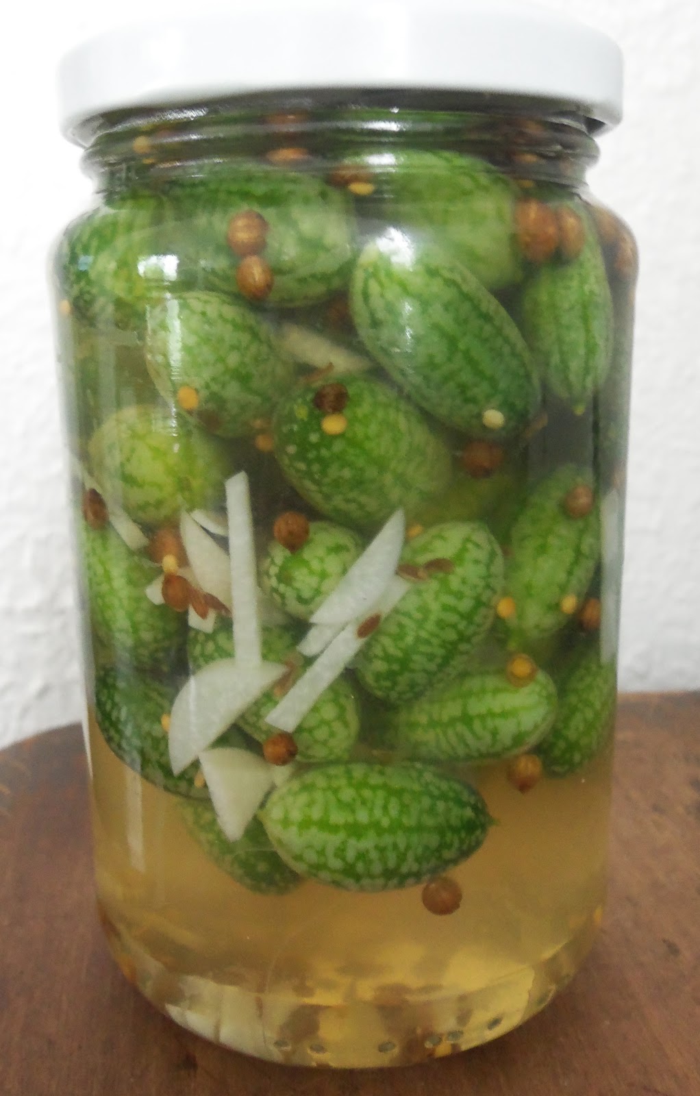 herb n studies GHERKIN