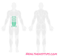 Best exercises and ADS | training for Beginners Best exercises and ADS | training for Beginners