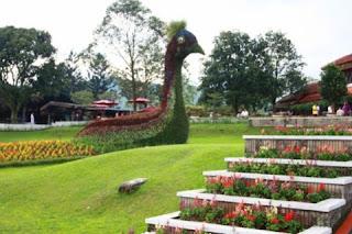  Taman  Bunga  Nusantara Bogor  