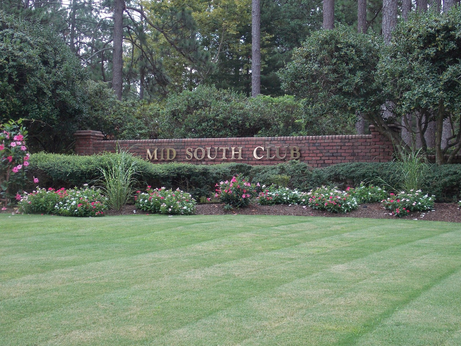 Towering Pines Living Gated Community of Mid South Club, Southern