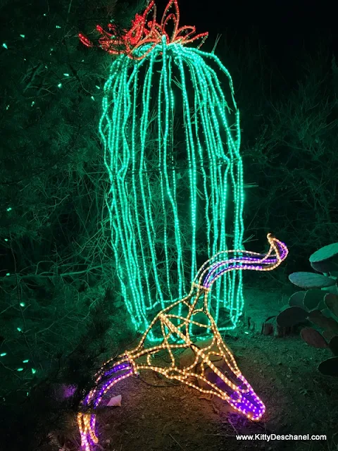how to make a cactus with lights