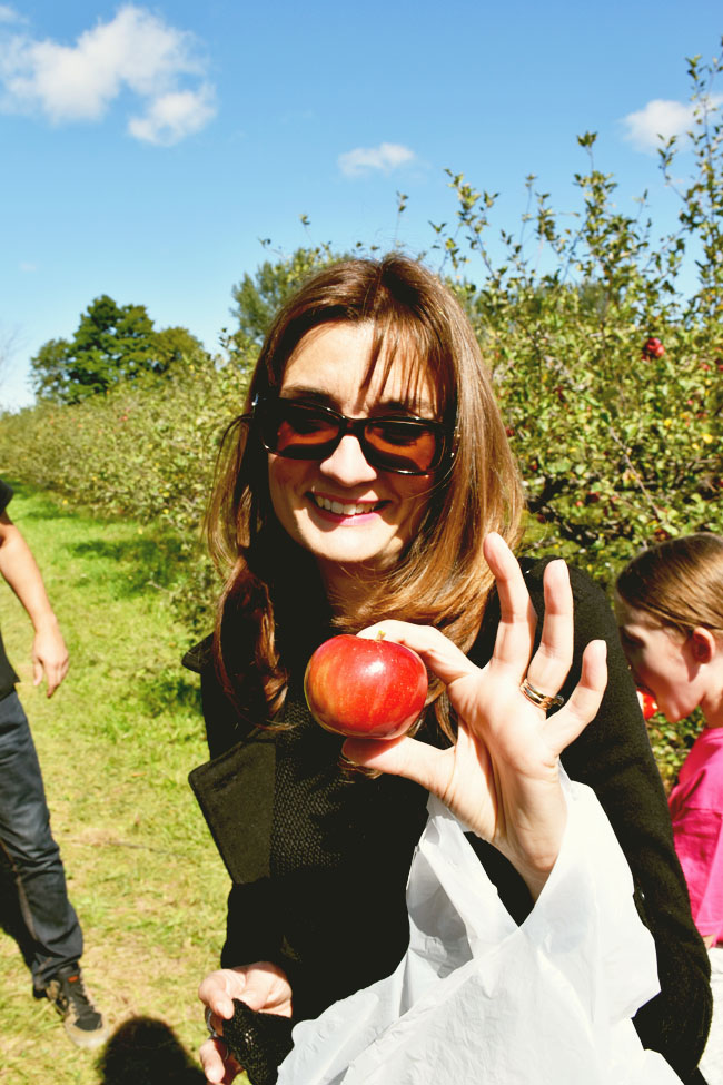apple picking at Avalon Orchards (organic) in Innisfil, Ontario