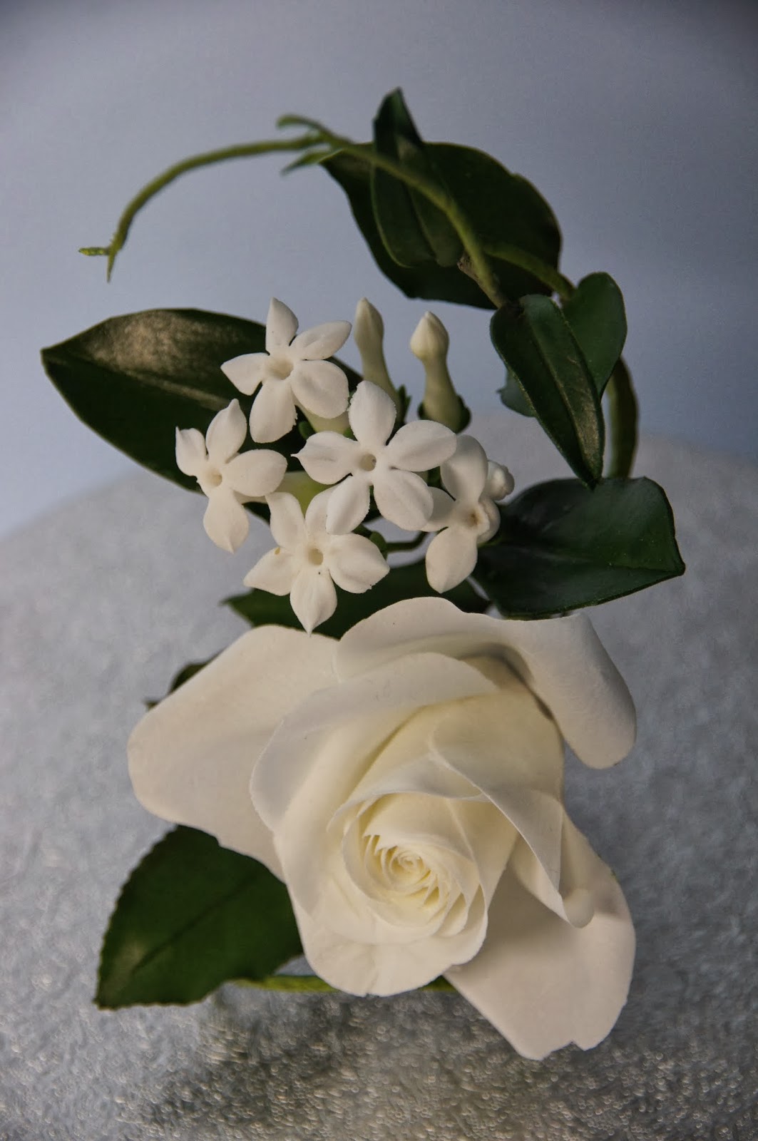 Kleine Zuckerfee Stephanotis