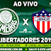 Jogo Palmeiras x Junior Barranquilla Ao Vivo 10/04/2019